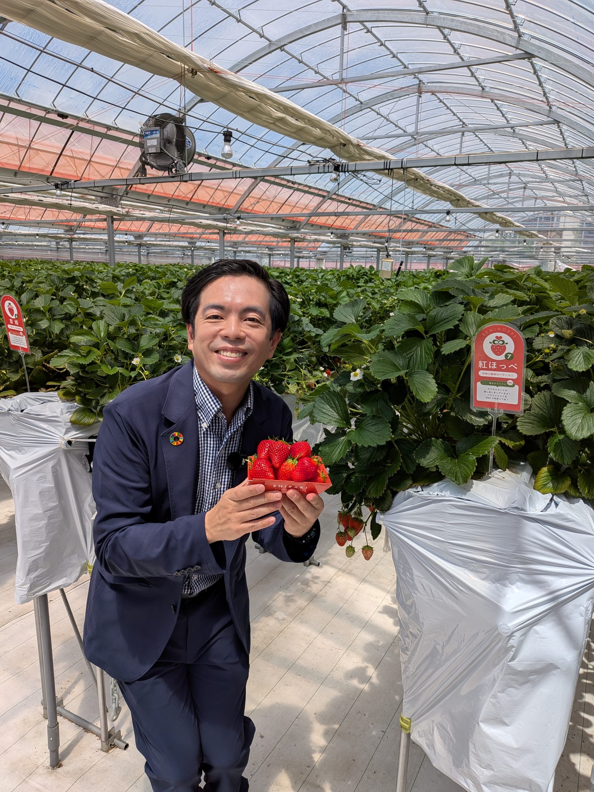 白木農園でいちご狩り